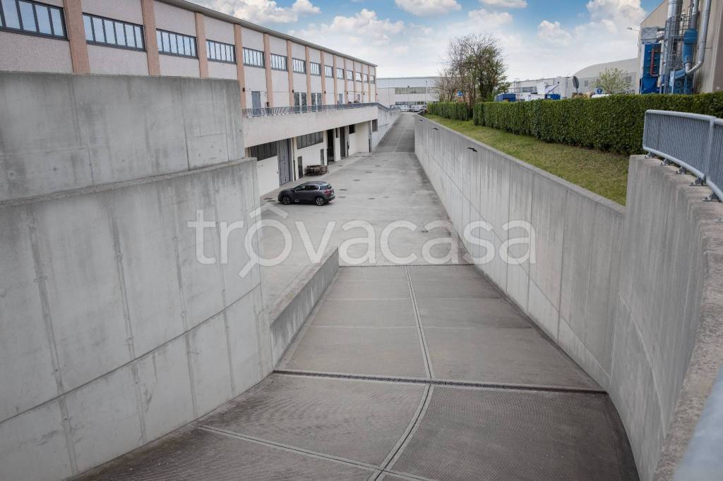 immagine annuncio 3 di 12