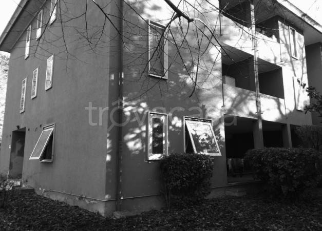 immagine annuncio 1 di 12