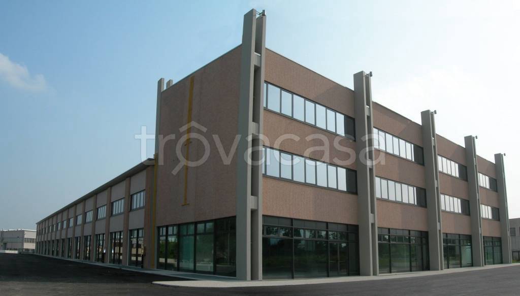 immagine annuncio 7 di 12