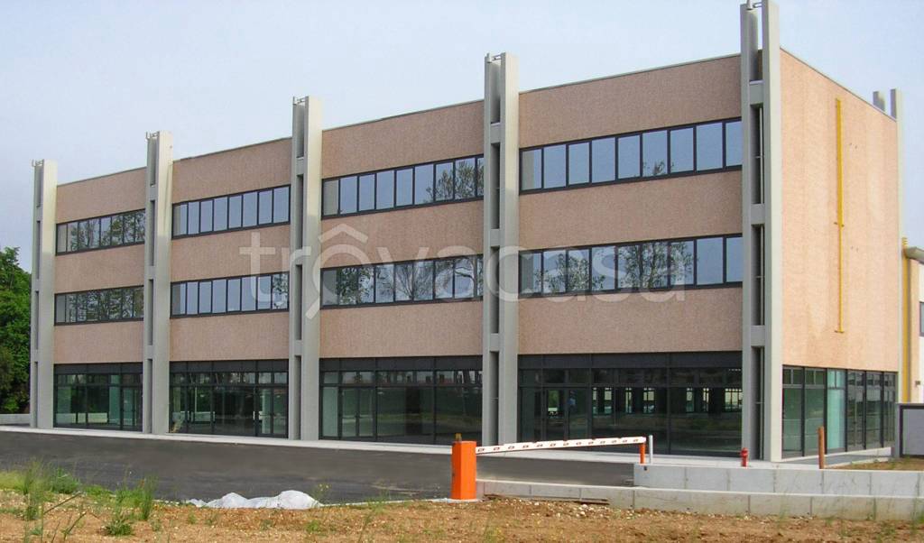 immagine annuncio 8 di 12