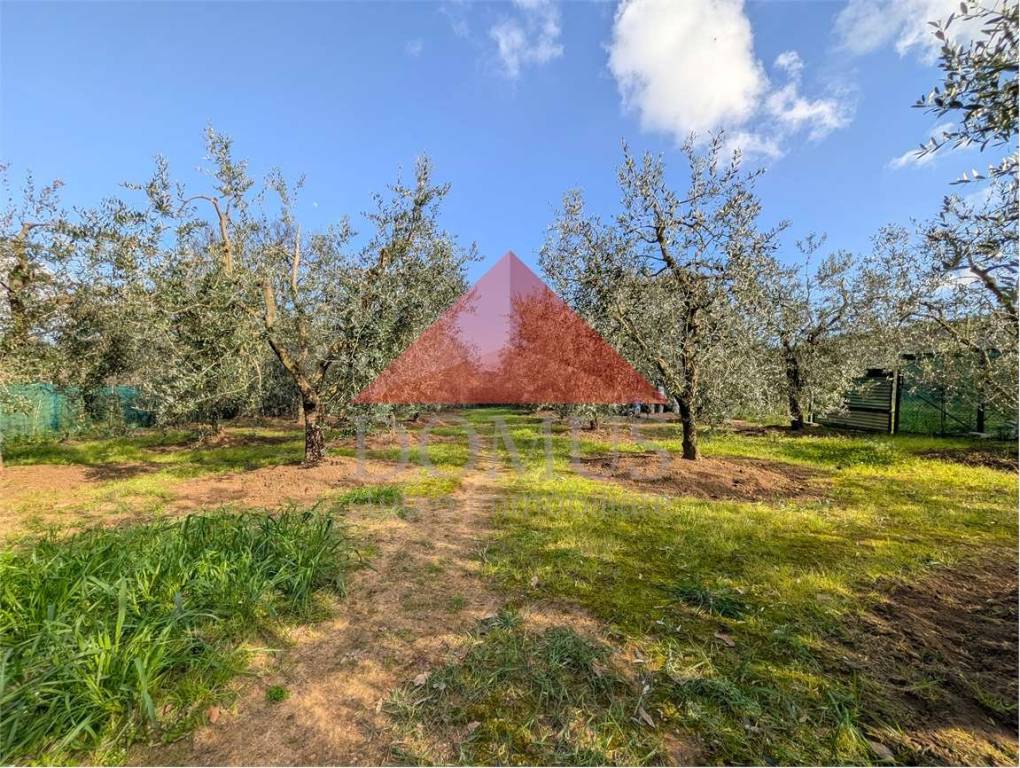 immagine annuncio 8 di 12