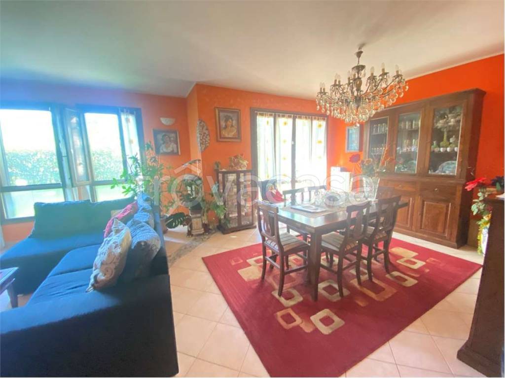 immagine annuncio 14 di 15