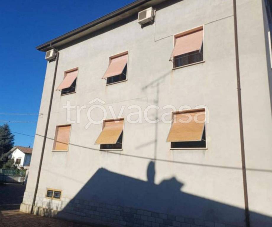 immagine annuncio 3 di 11