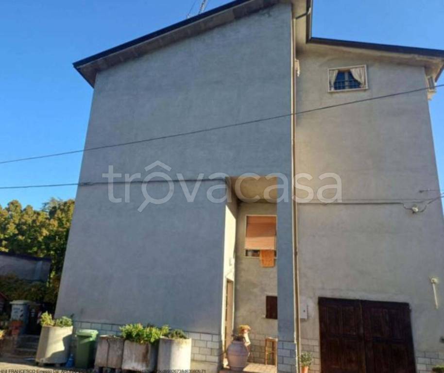 immagine annuncio 4 di 11