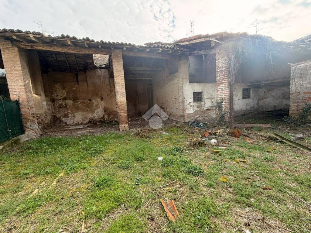 immagine annuncio 3 di 14