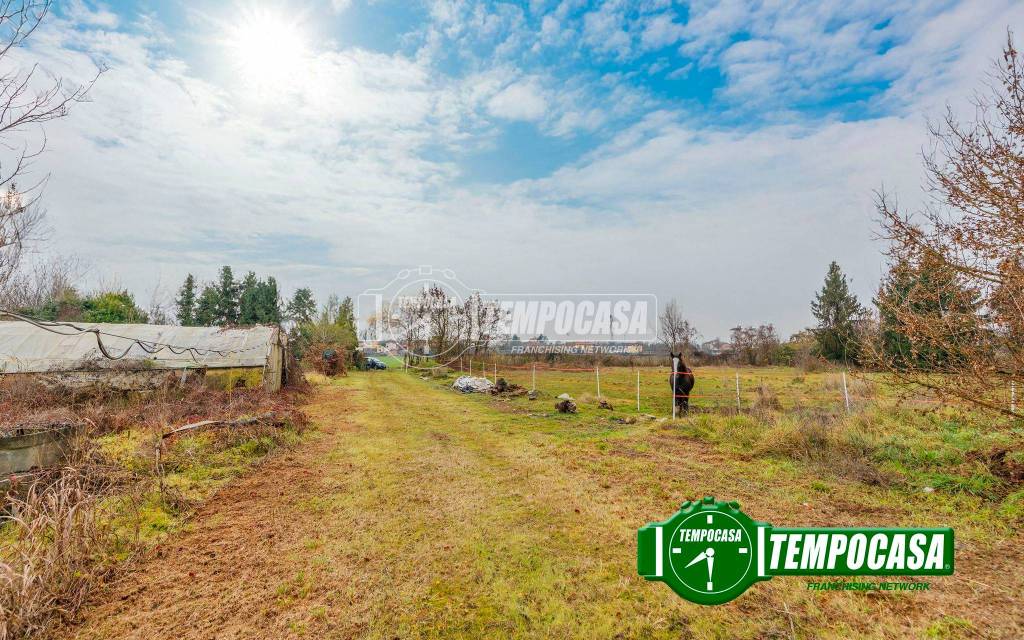 immagine annuncio 2 di 9