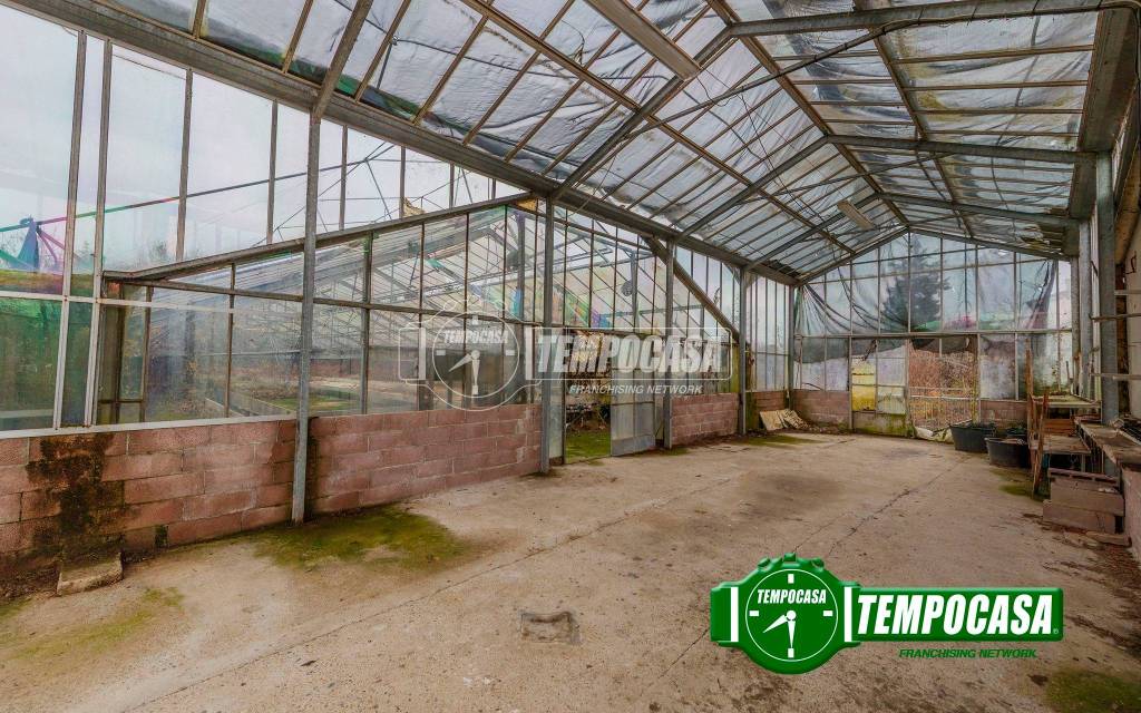 immagine annuncio 4 di 9