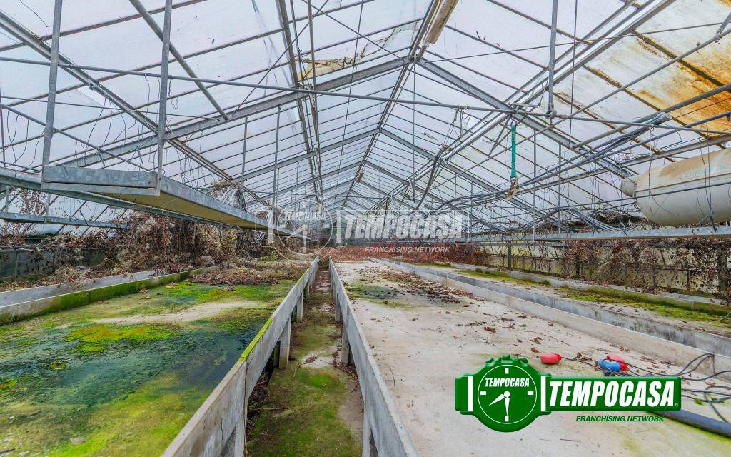 immagine annuncio 5 di 9