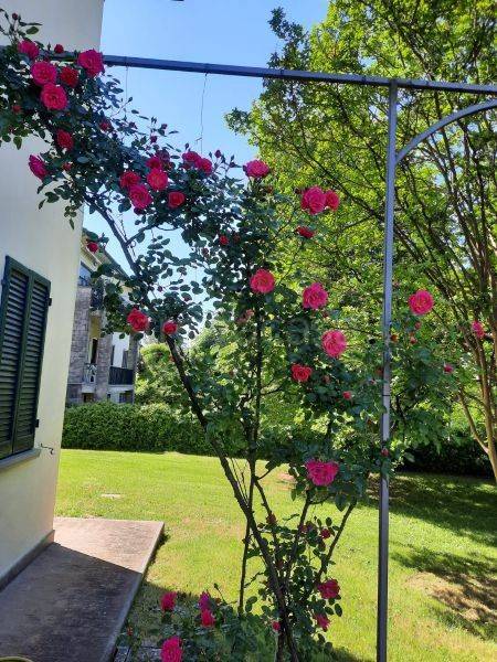 immagine annuncio 6 di 14