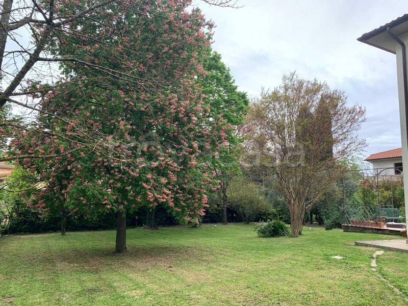 immagine annuncio 10 di 14