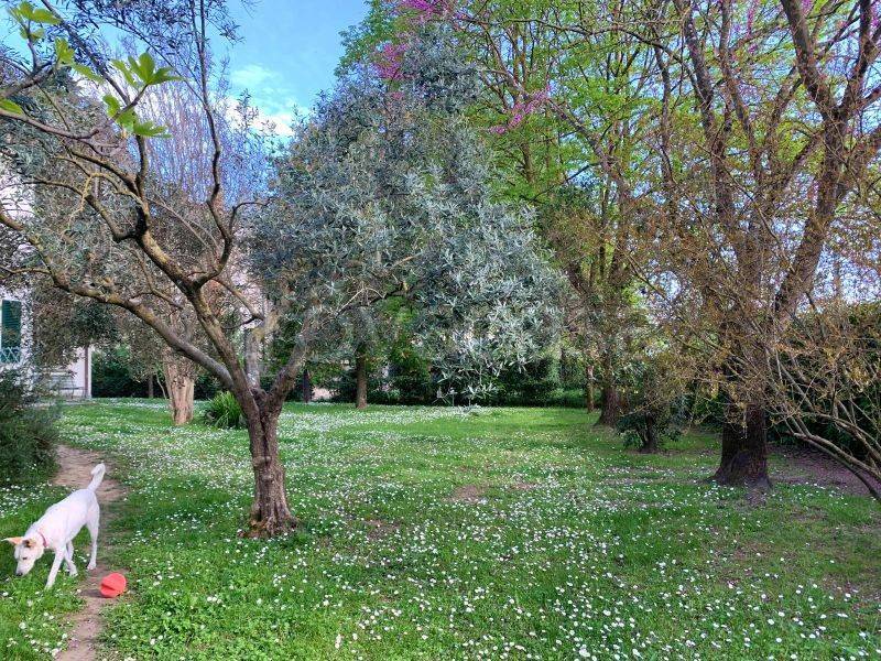 immagine annuncio 11 di 14