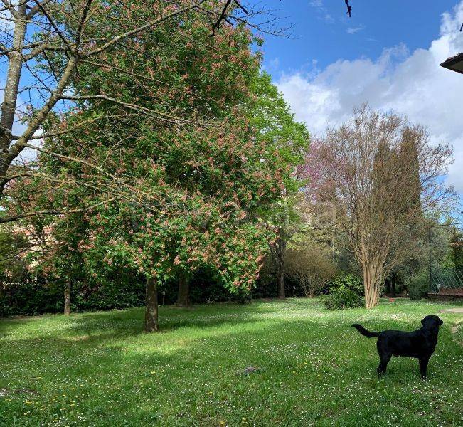 immagine annuncio 12 di 14