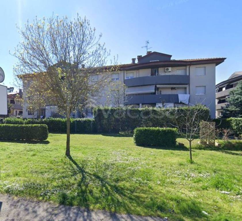 immagine annuncio 3 di 11