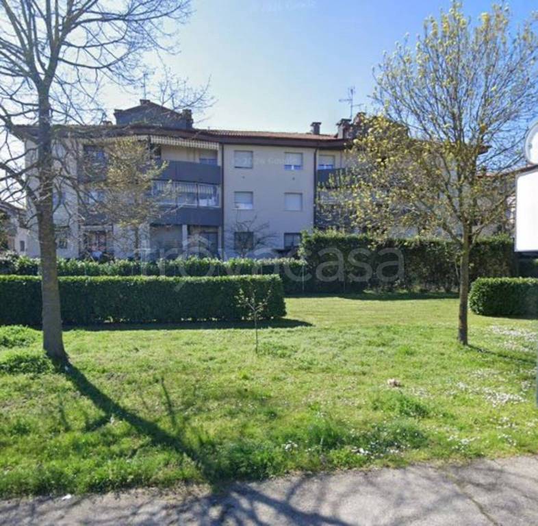 immagine annuncio 4 di 11