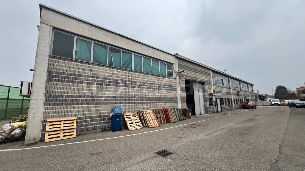 immagine annuncio 3 di 15