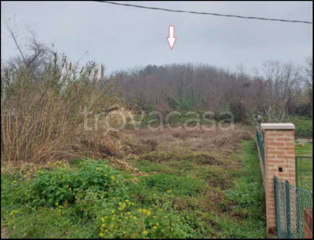 immagine annuncio 3 di 12