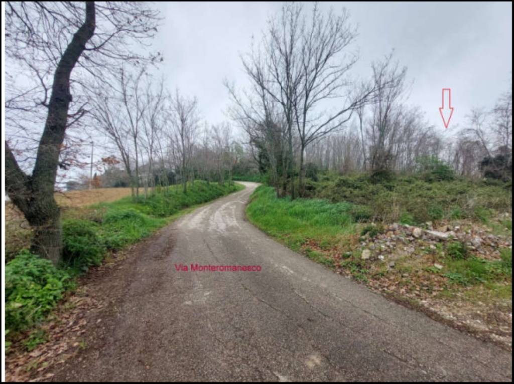 immagine annuncio 4 di 12