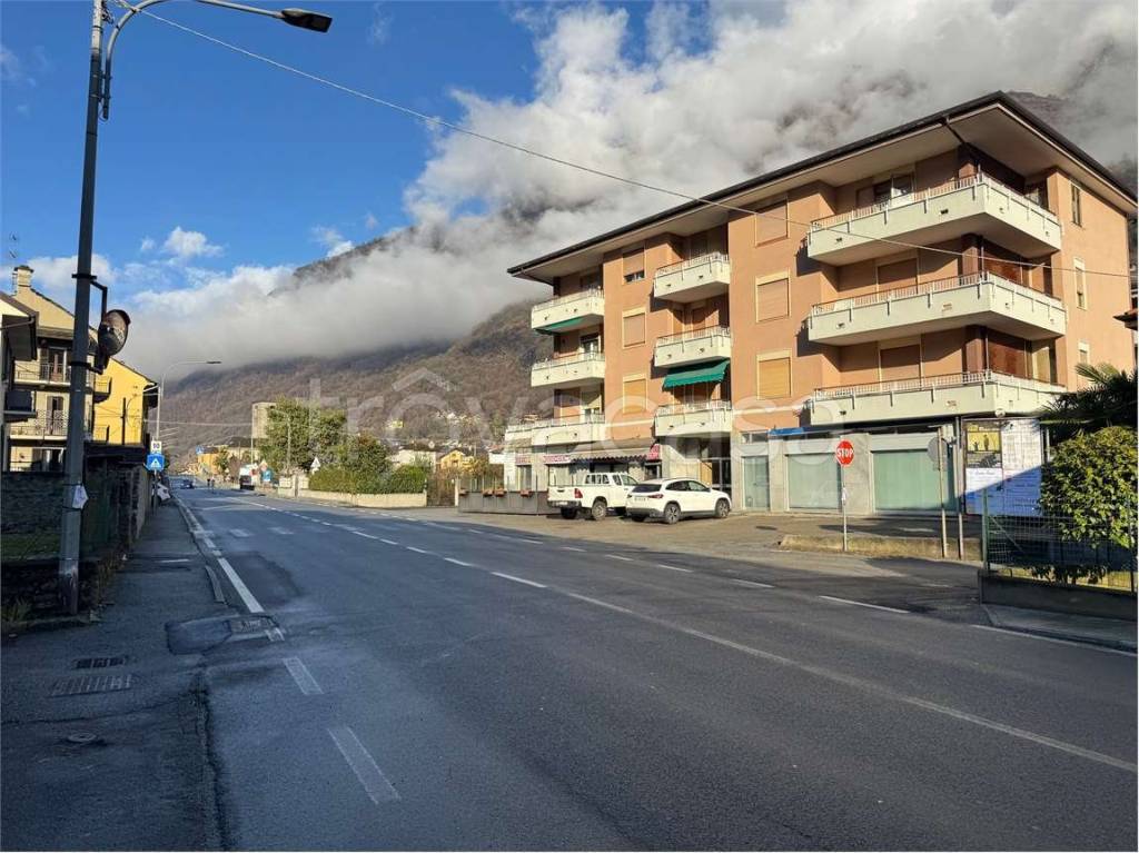 immagine annuncio 11 di 13