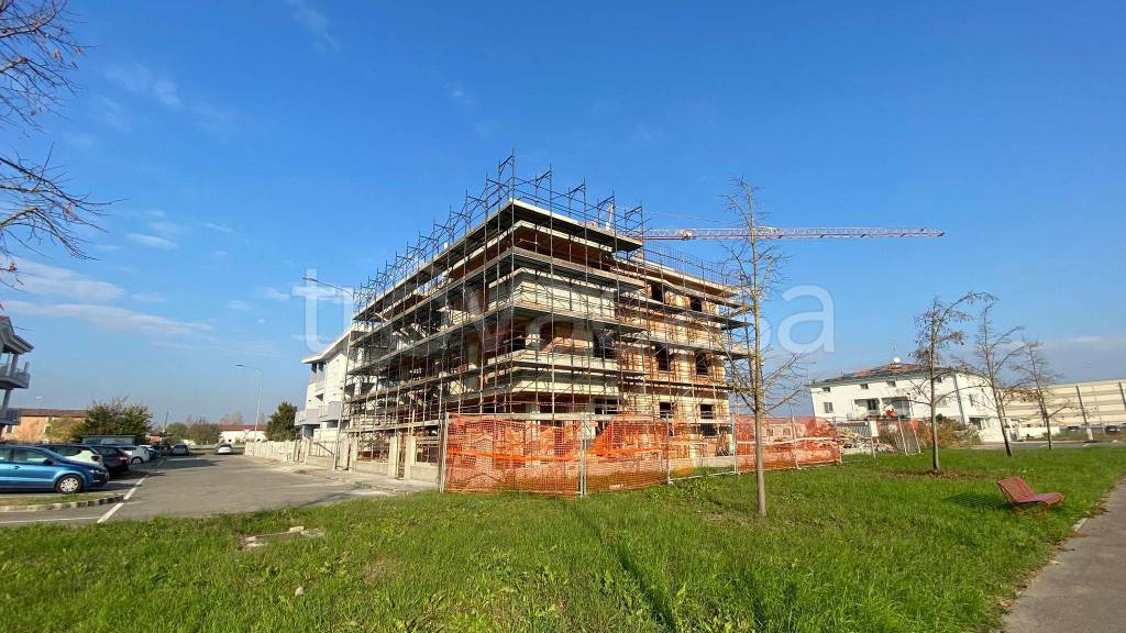 immagine annuncio 8 di 15