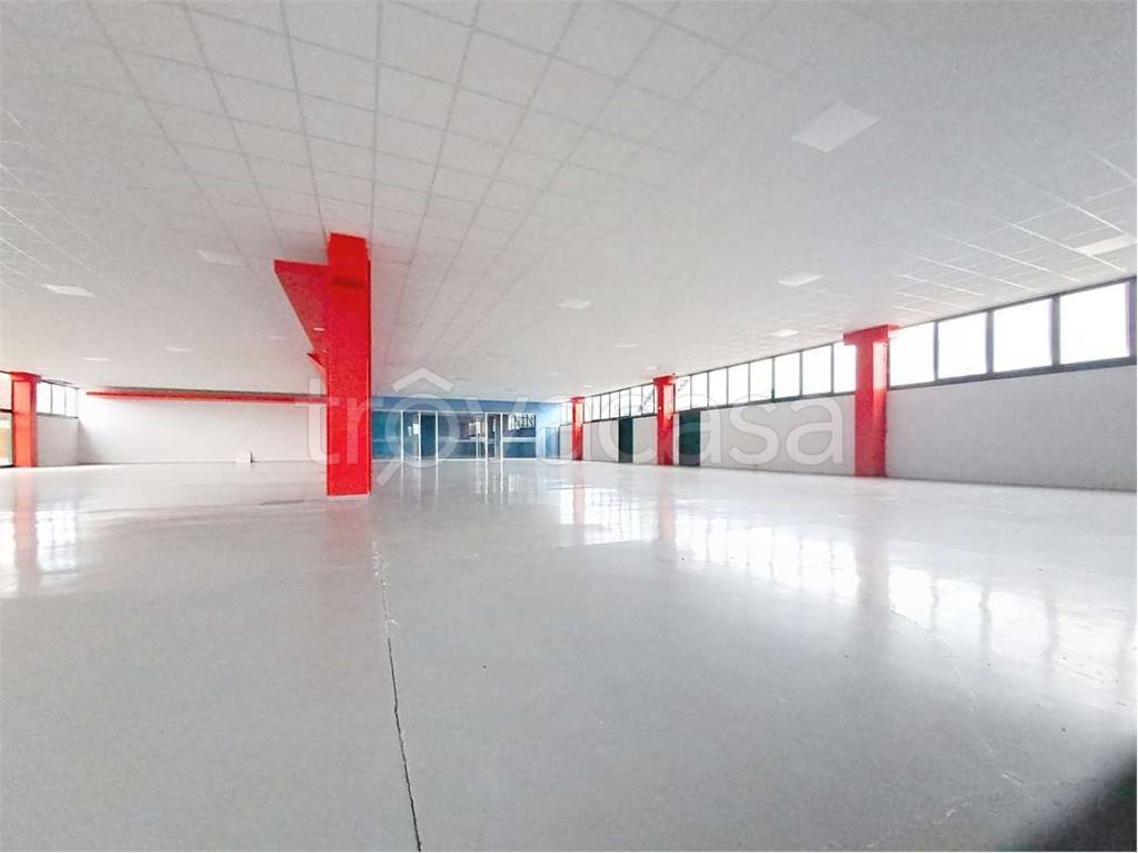 immagine annuncio 1 di 12