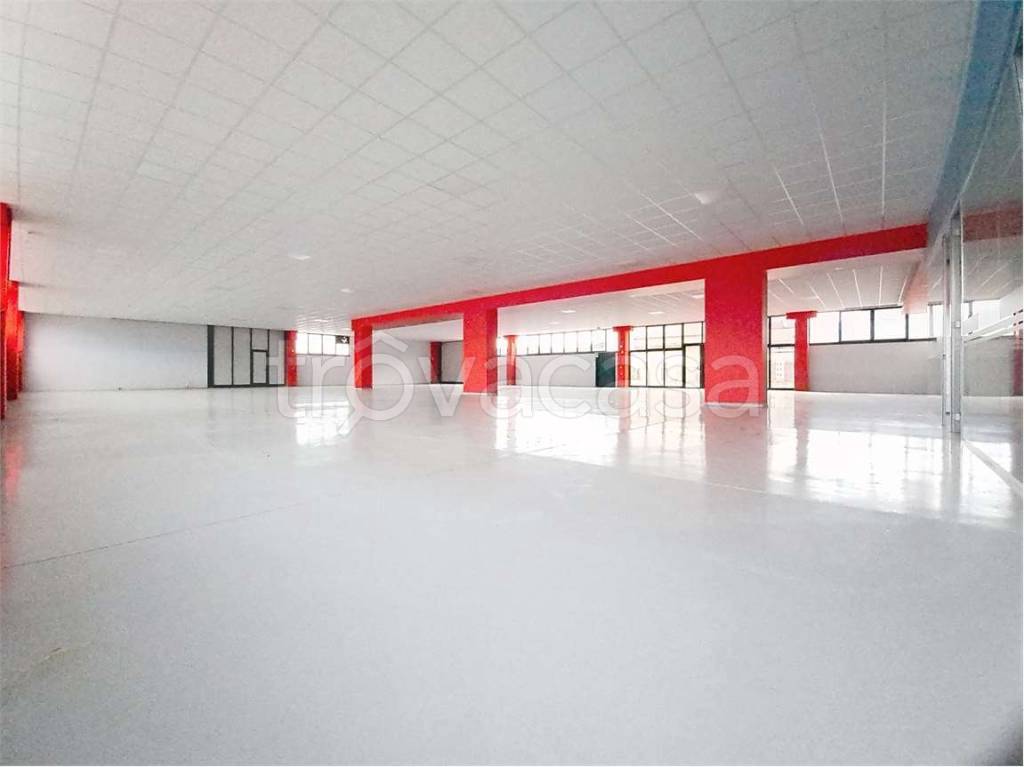 immagine annuncio 2 di 12