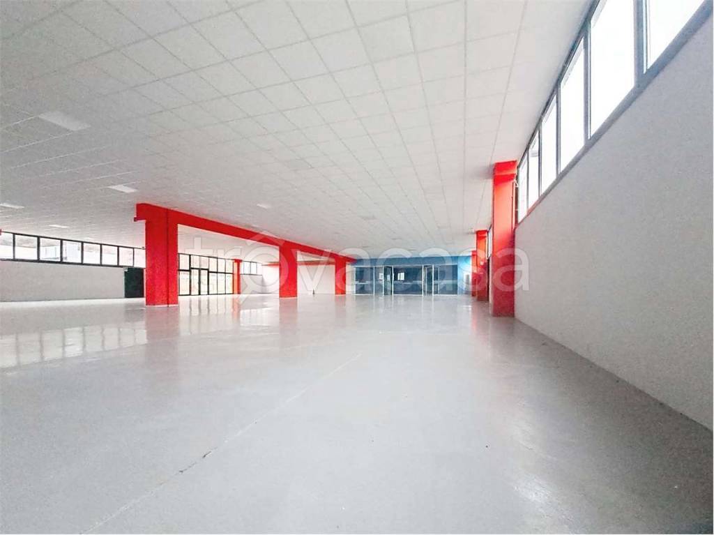 immagine annuncio 4 di 12