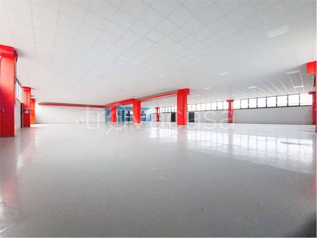 immagine annuncio 5 di 12