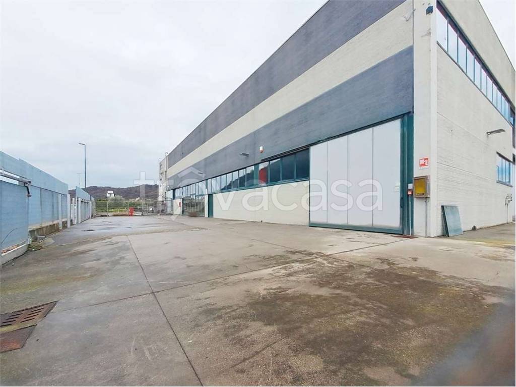 immagine annuncio 8 di 12