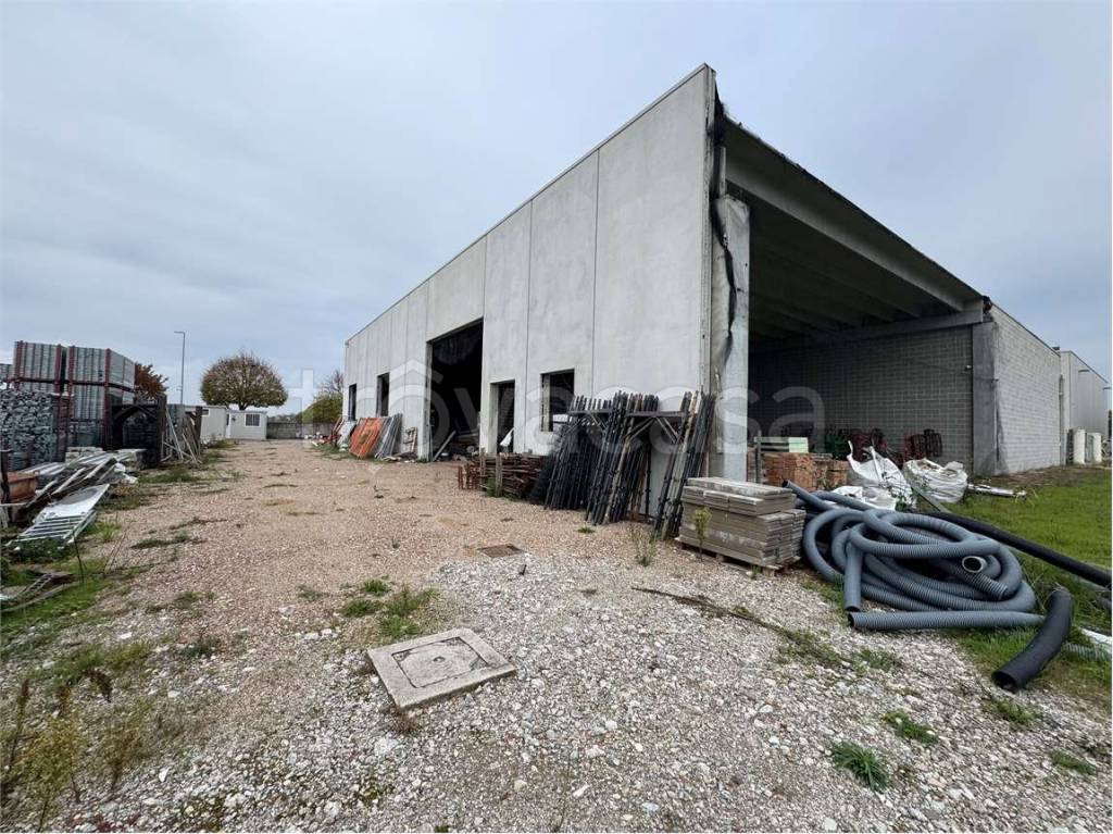 immagine annuncio 10 di 15