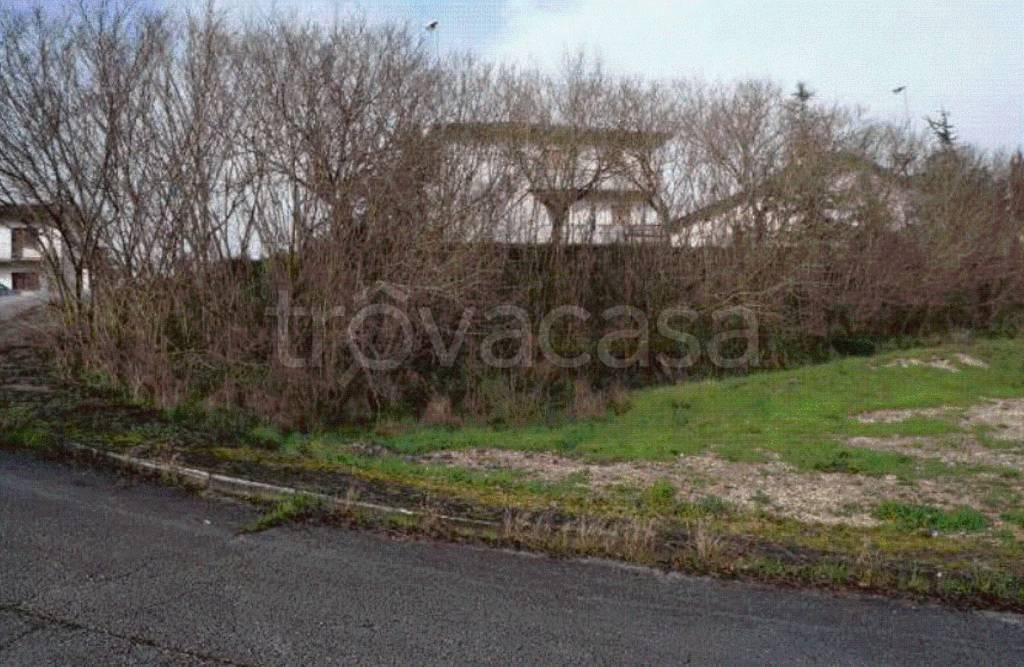 immagine annuncio 6 di 8