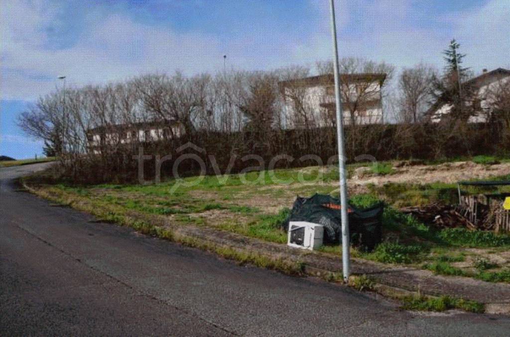 immagine annuncio 4 di 8