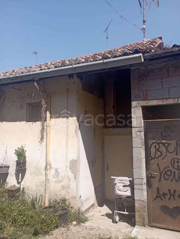 immagine annuncio 12 di 13