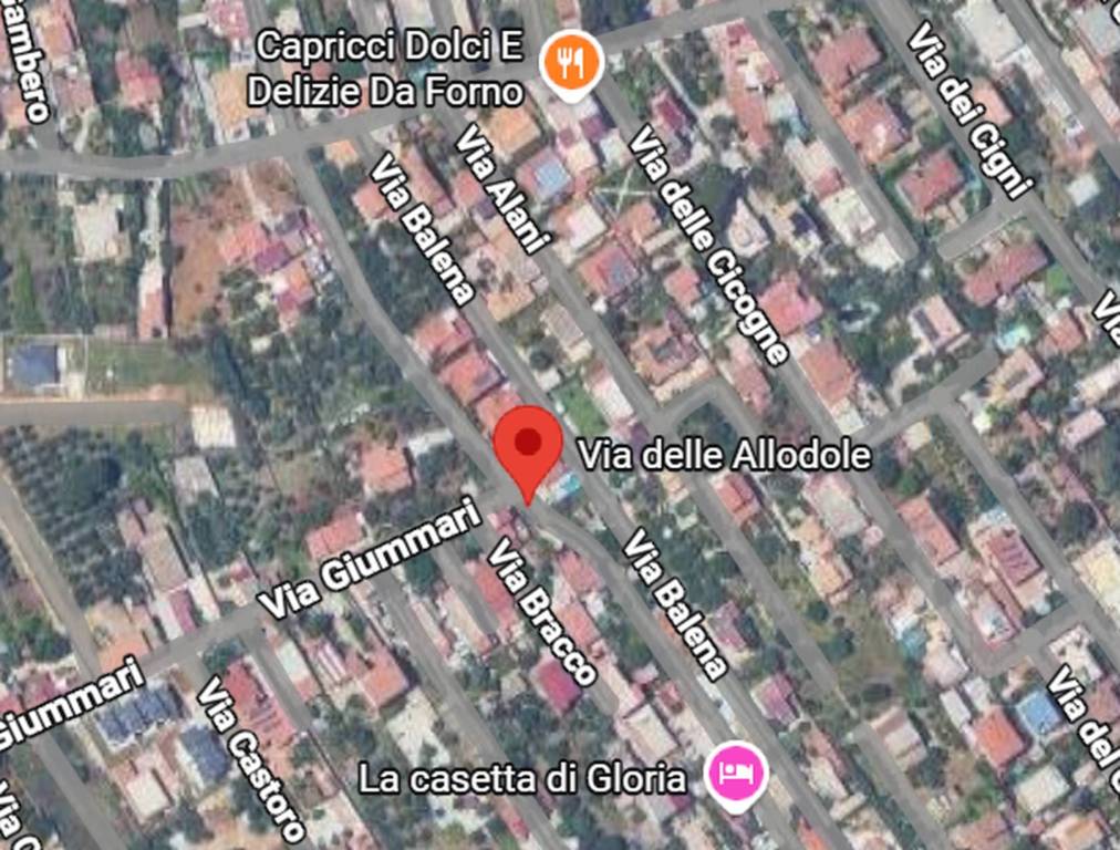 immagine annuncio 3 di 12