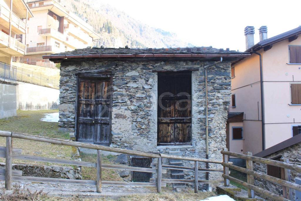 immagine annuncio 1 di 15