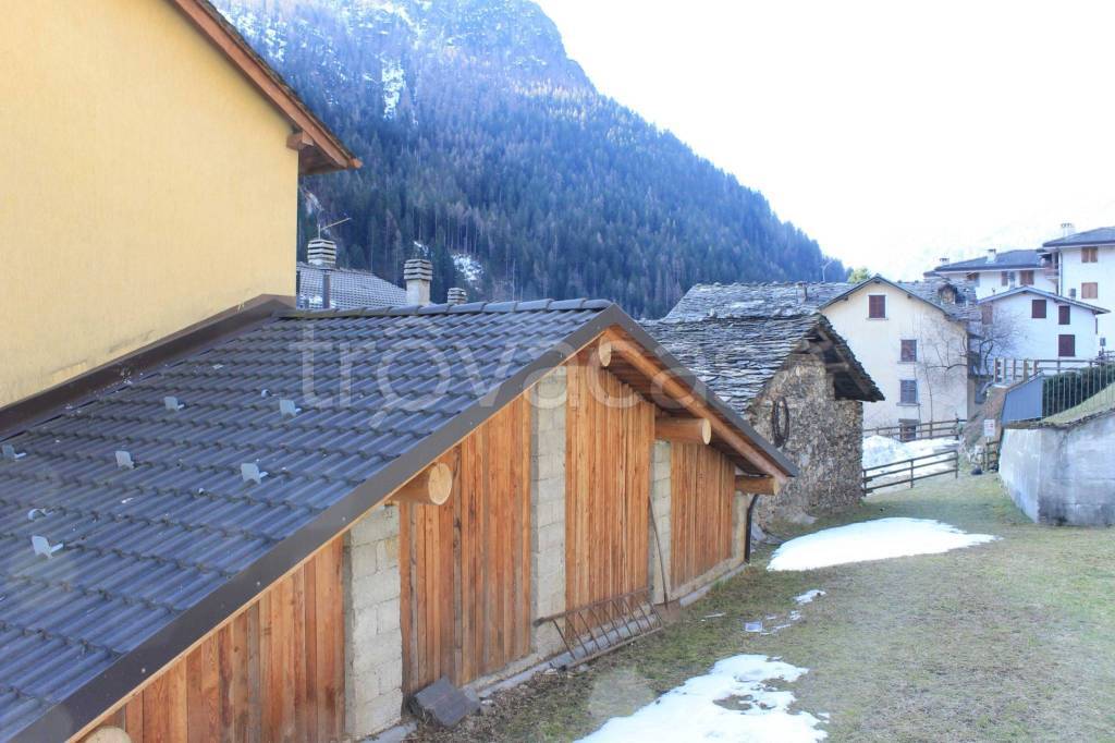 immagine annuncio 7 di 15