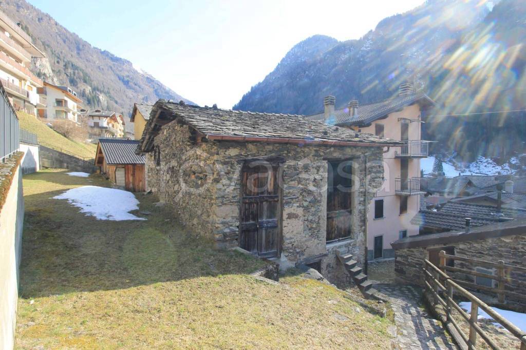 immagine annuncio 11 di 15