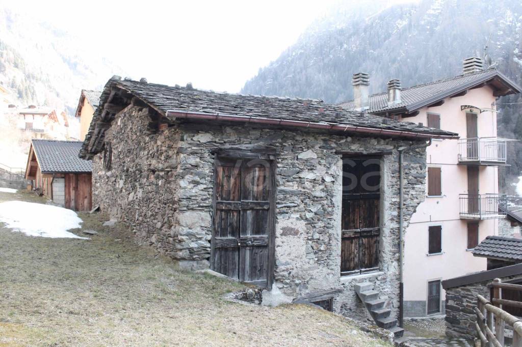 immagine annuncio 12 di 15