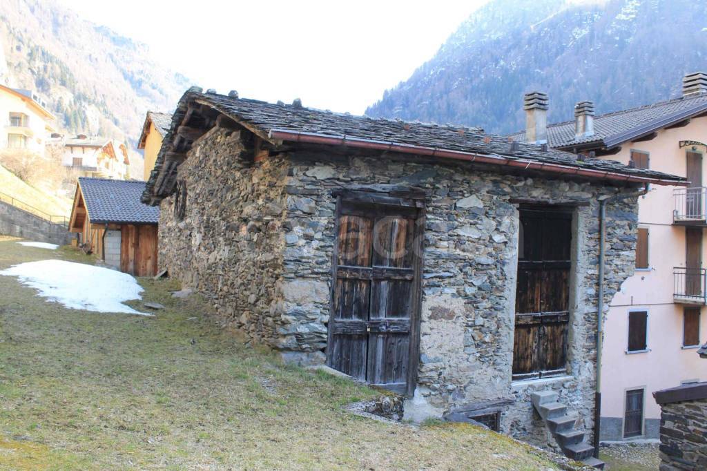 immagine annuncio 13 di 15