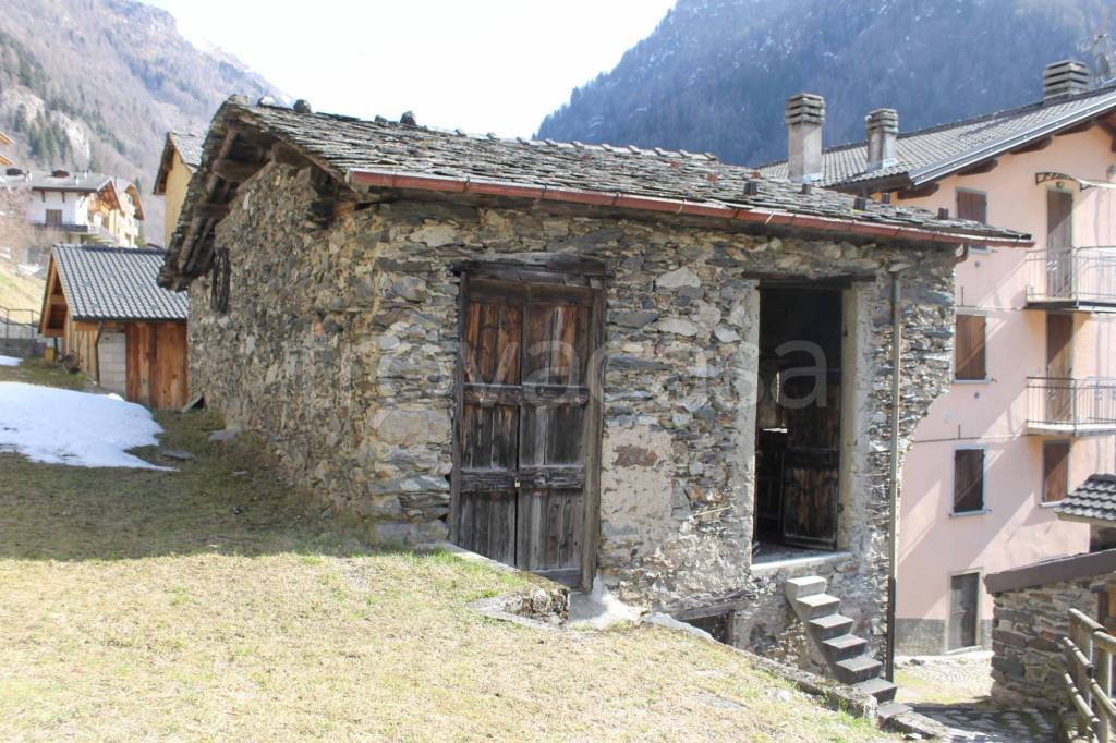 immagine annuncio 14 di 15