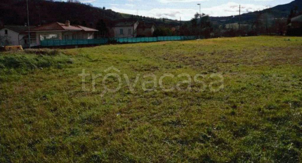 immagine annuncio 8 di 11