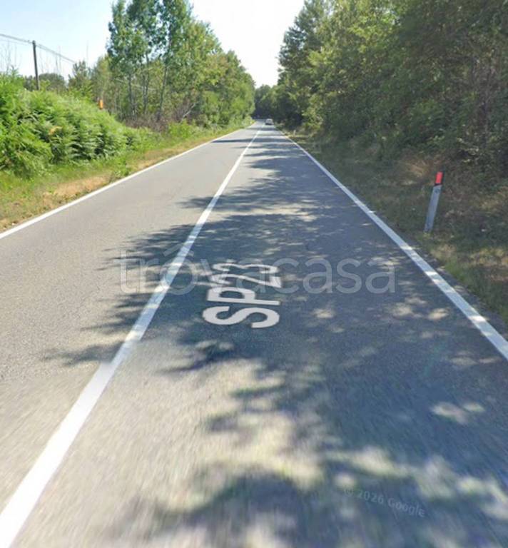 immagine annuncio 7 di 12