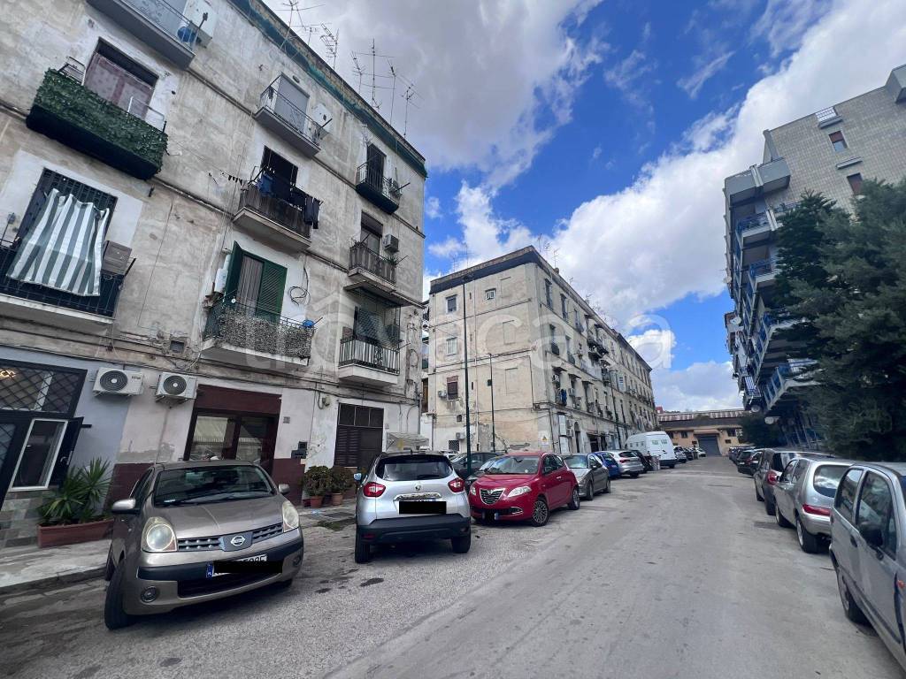 immagine annuncio 1 di 14