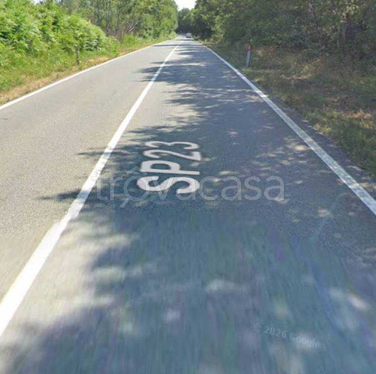 immagine annuncio 9 di 12