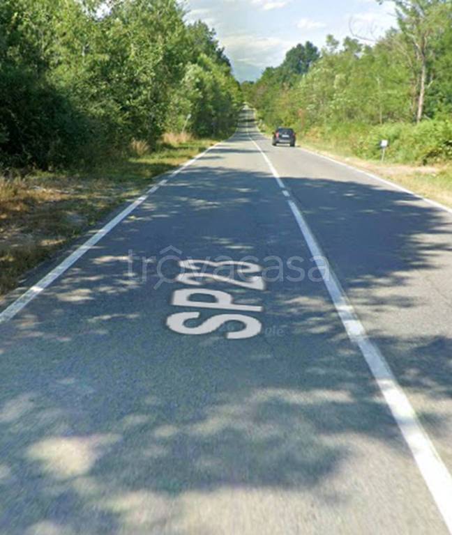 immagine annuncio 10 di 12