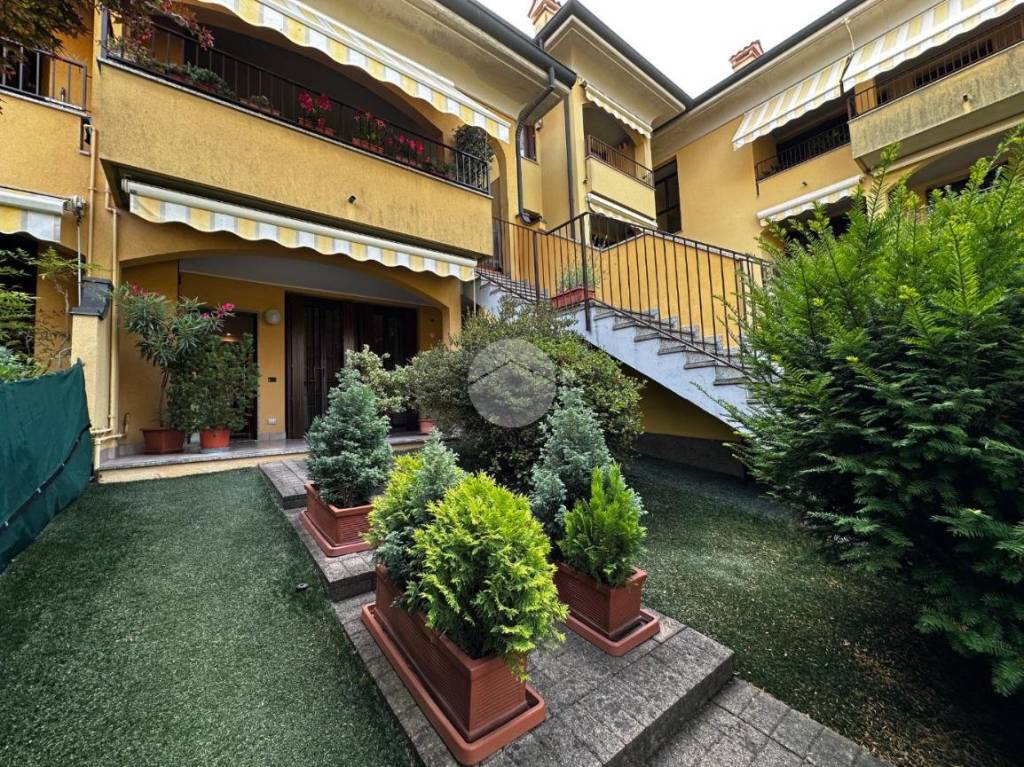 immagine annuncio 3 di 15