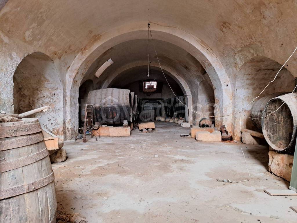 immagine annuncio 9 di 12