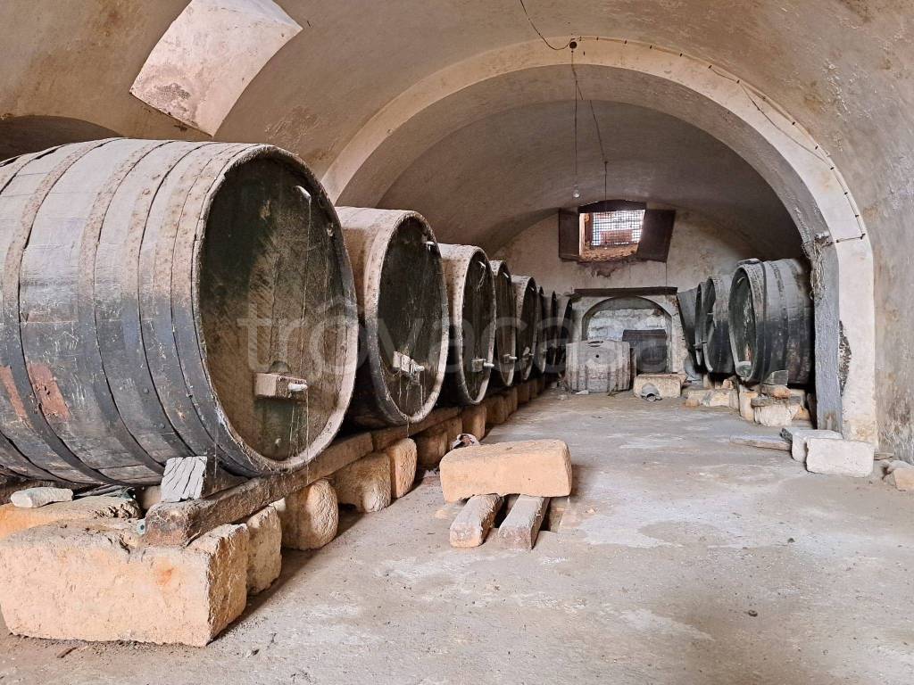 immagine annuncio 10 di 12