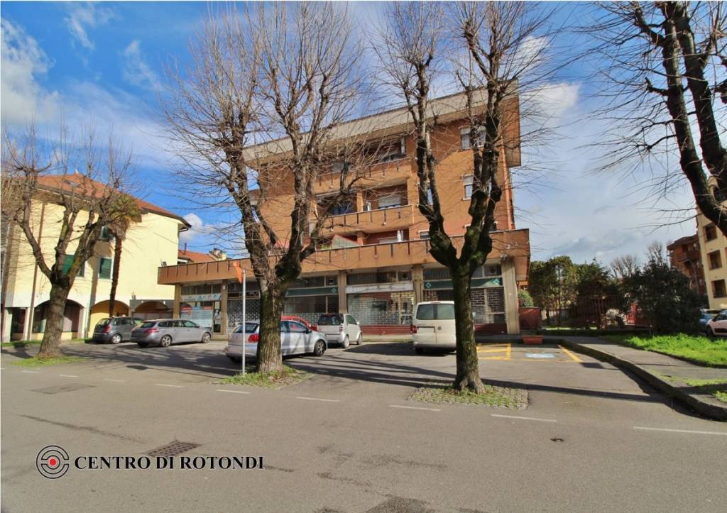 immagine annuncio 1 di 11