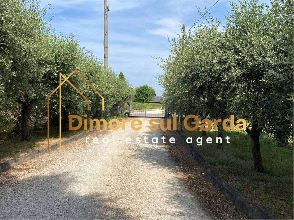 immagine annuncio 12 di 13