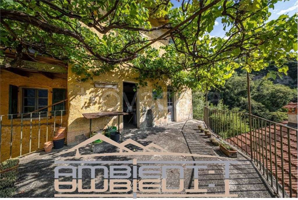 immagine annuncio 7 di 13